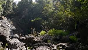 Jogi Gundi Falls